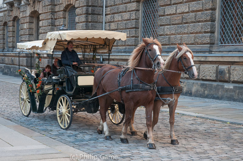 Time-honoured transport for tourists...