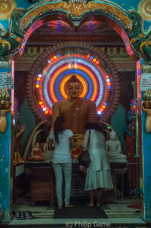 Worshipping the Buddha