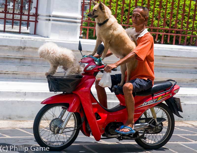 Thailand: Motorcyclist(s) in Bangkok