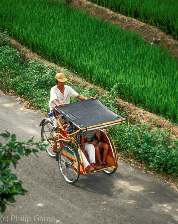 Indonesia: Becak or trishaw passing rice fields, Sumatra