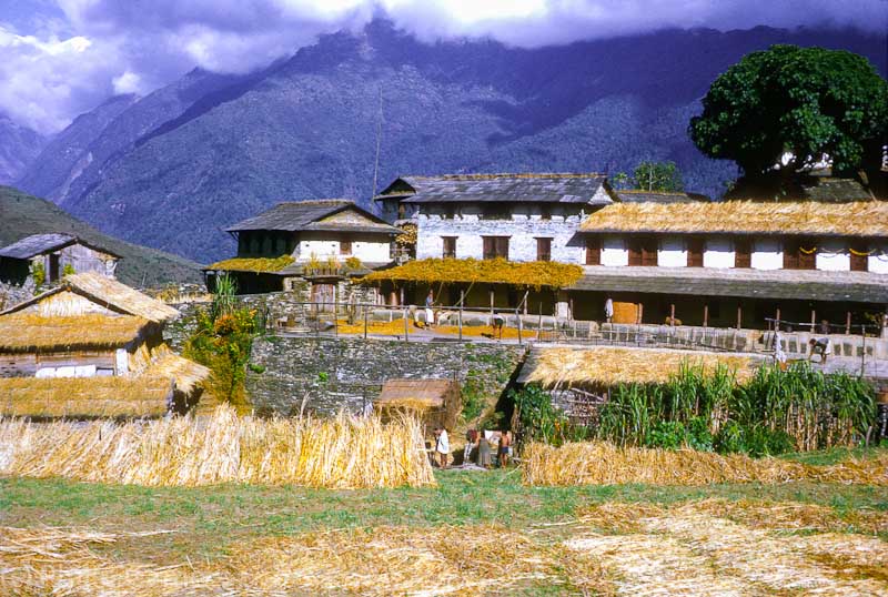 Gurung villlagers at Ghandruk on the Annapurna Trail, Nepal
