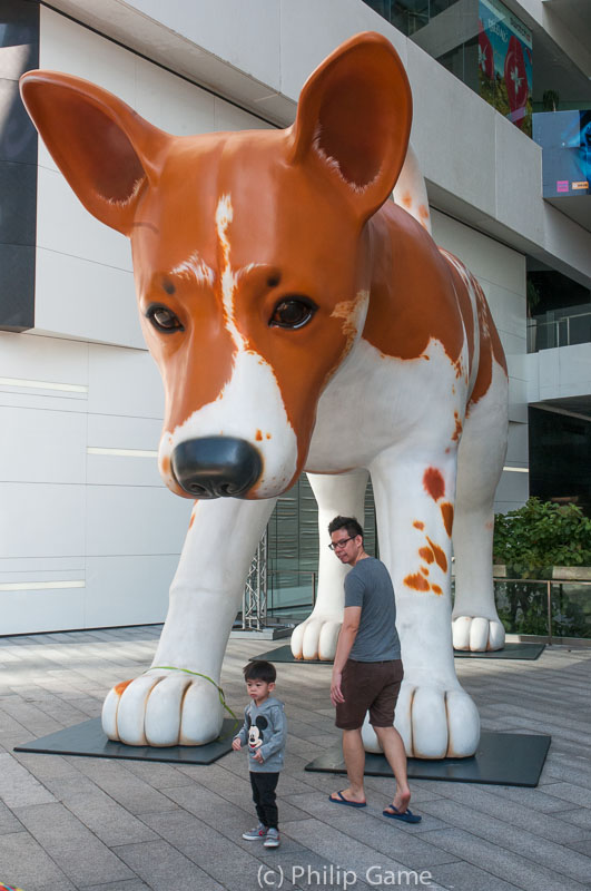 Giant puppy at a new shopping mall