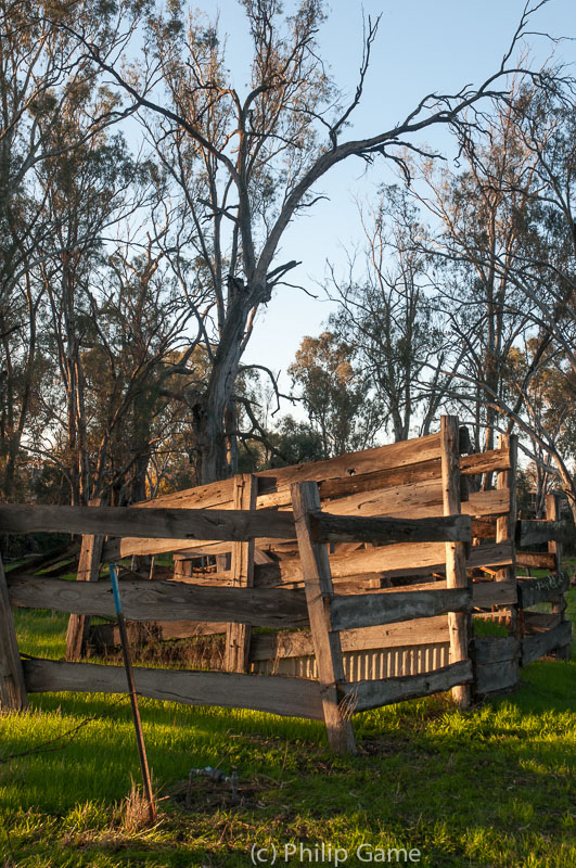 A decaying cattle race (ramp) 