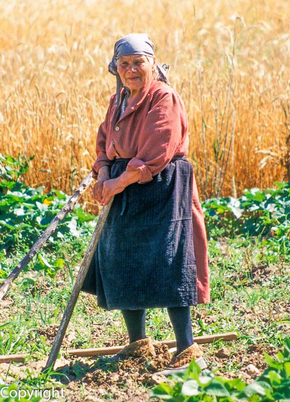 Tilling the fields