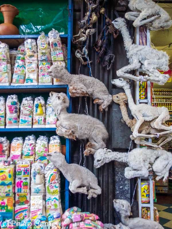 Llama foetuses and other treats in the Witches' Market