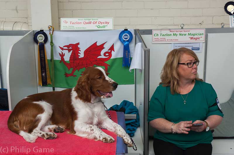 Dog show exhibitor with her prize winner