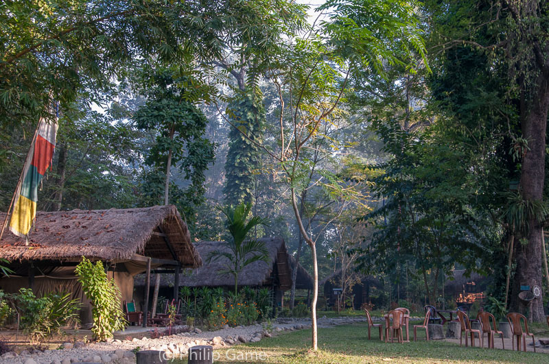 Nameri Eco Camp, Assam - our last night on the road