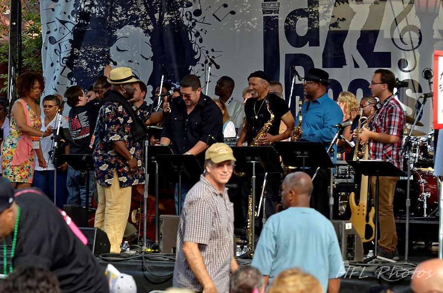 JPEG 2015 Roots_20150808_31_& Jazz Festival_DSC8250_DxO.jpg