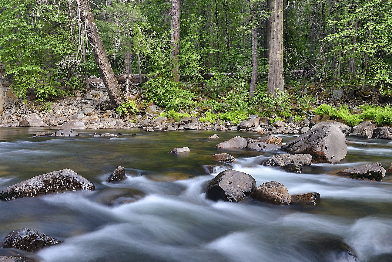 Yosemite NP - Merced River Rapids 6.tif