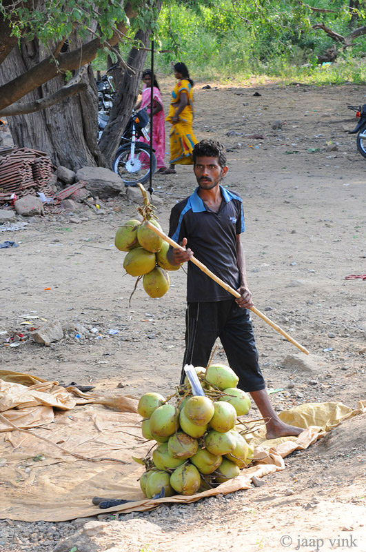 Coconut Salesman