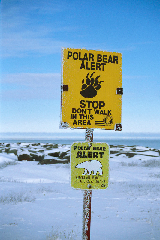 Polar Bear Alert - Waarschuwing voor IJsberen