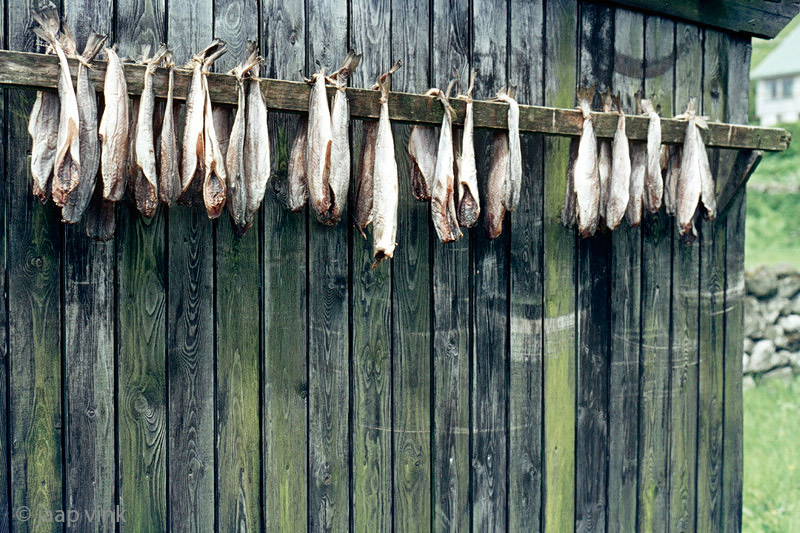 Drying fish