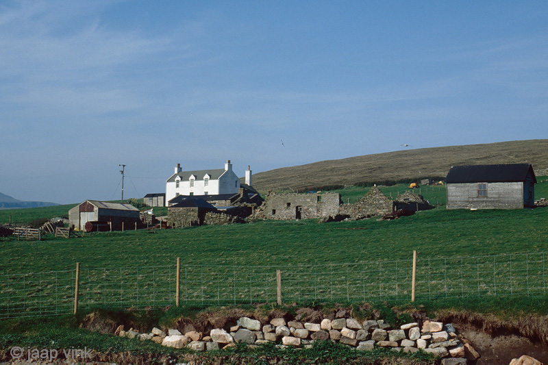 Shetland landscape - Shetland landschap