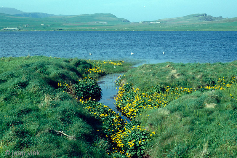 Spiggie Loch