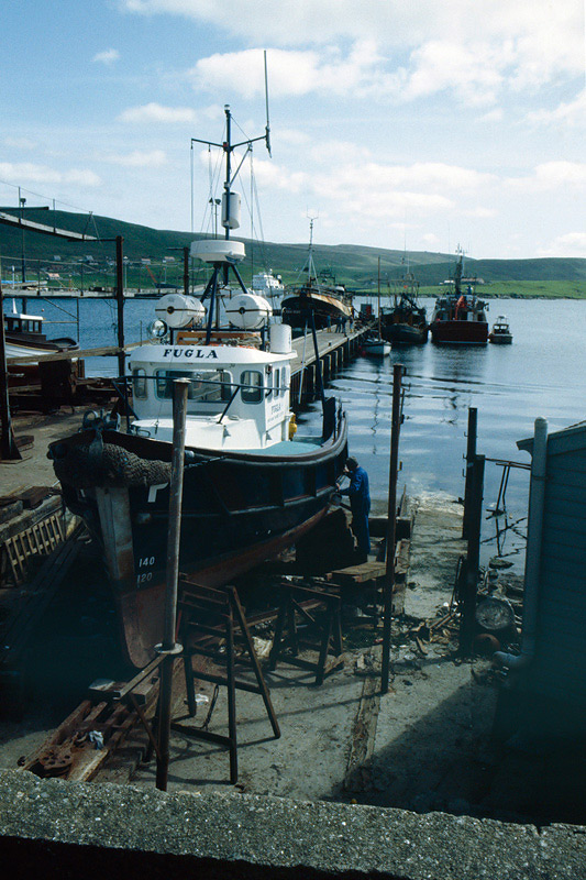 Scalloway harbour