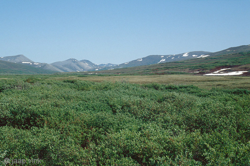 Landscape along the Nome-Teller road - Landschap langs de Nome-Teller weg