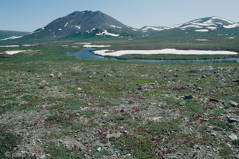 Landscape along the Nome-Taylor road - Landschap langs de Nome-Taylor road 