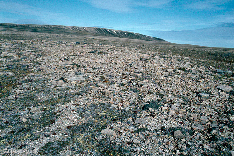 Hiking to Mount Pelly - Voettocht naar Mount Pelly