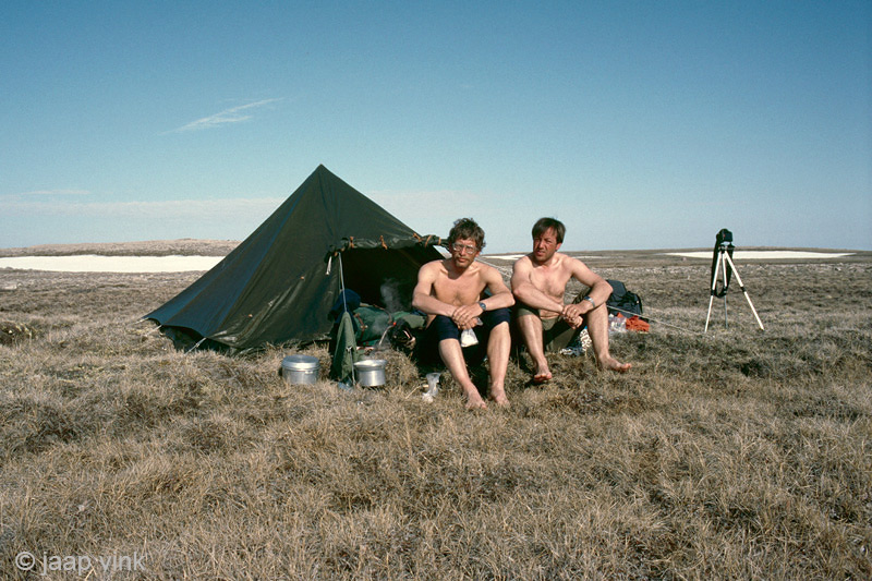 Tundra south of Mount Pelly - Toendra ten zuiden van Mount Pelly