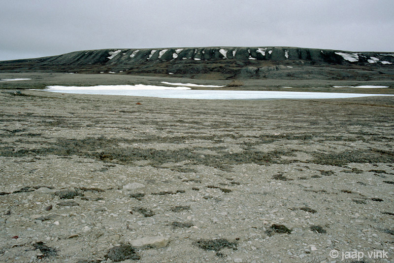 Hiking to Mount Pelly - Voettocht naar Mount Pelly