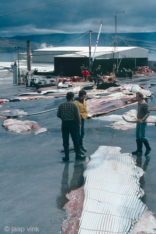 Whaling Station
