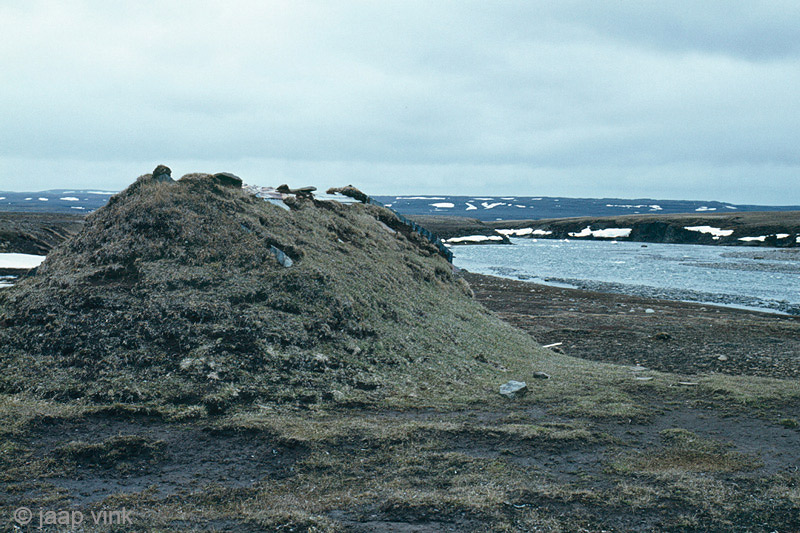 Lodnaverskofi