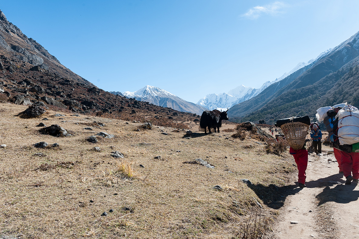 Highway from Langtang to Kyanjing Gompa