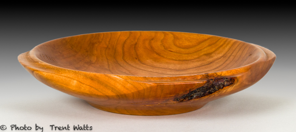 Elm bowl with bark pocket.