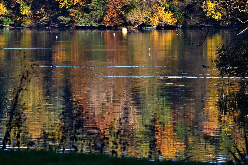 October at the River Drava DSC_0490ypb
