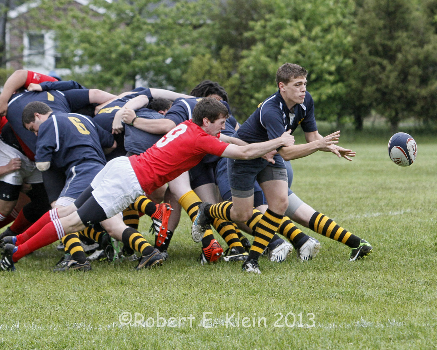 kleinr_30norugby(2)_05.jpg