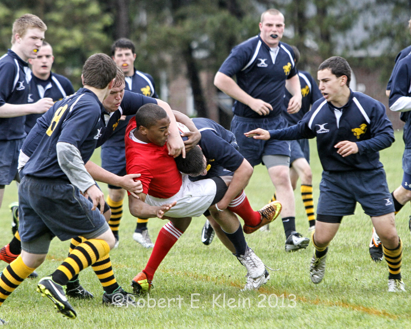 kleinr_30norugby(2)_07.jpg