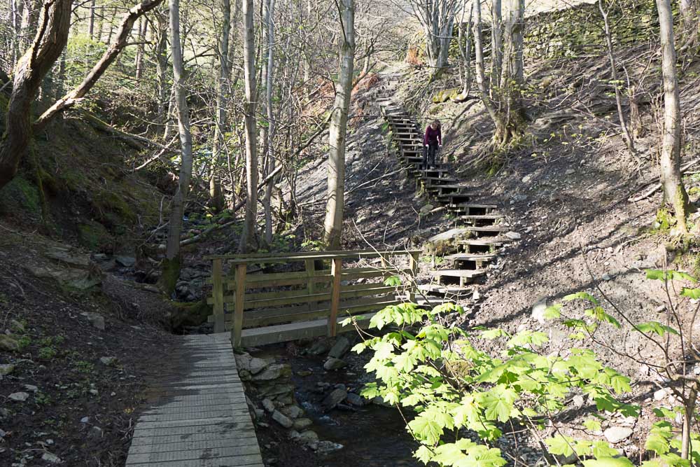 Footbridge in the glen