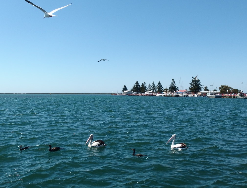 Harbour, Port Albert