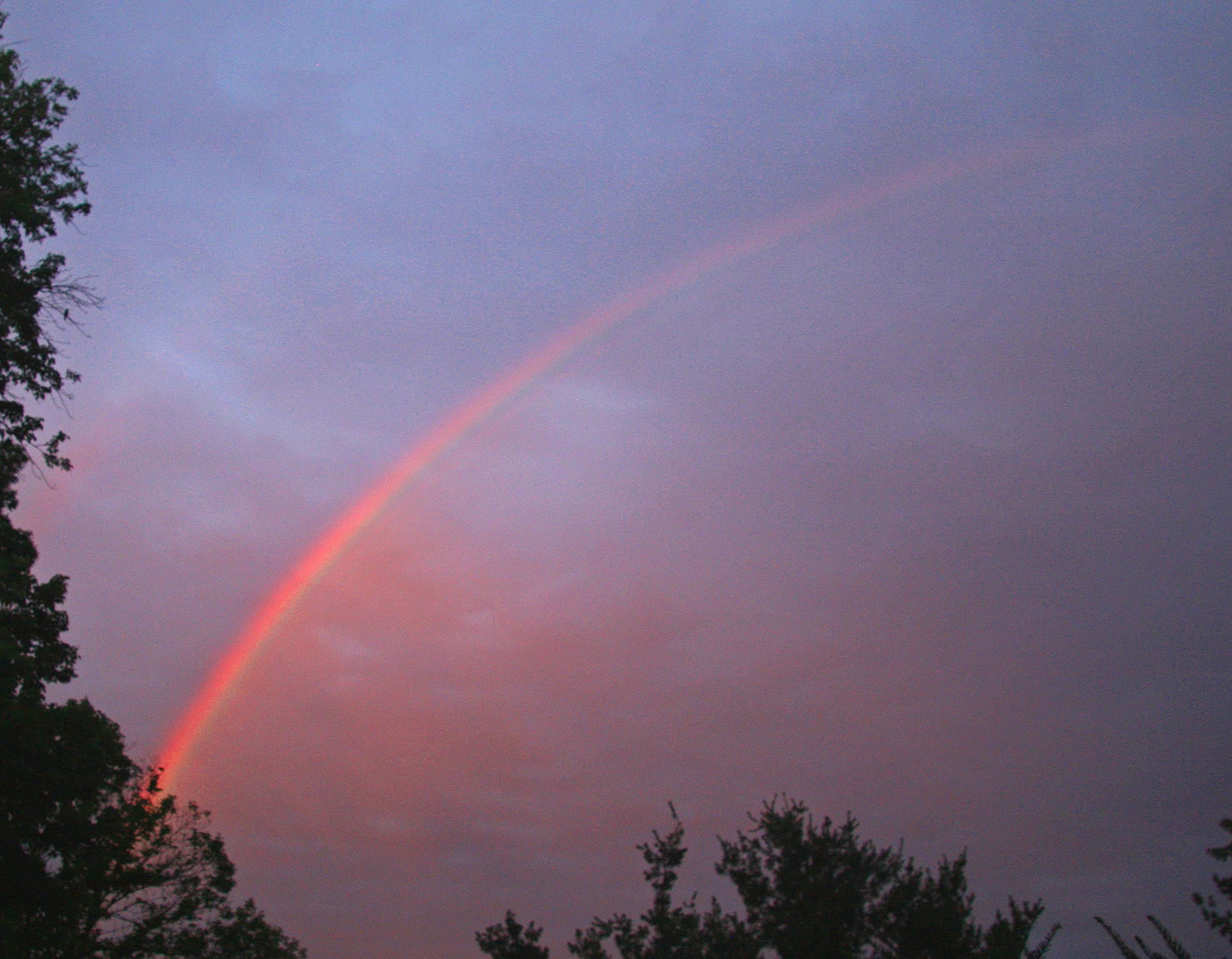 Summer Rainbow