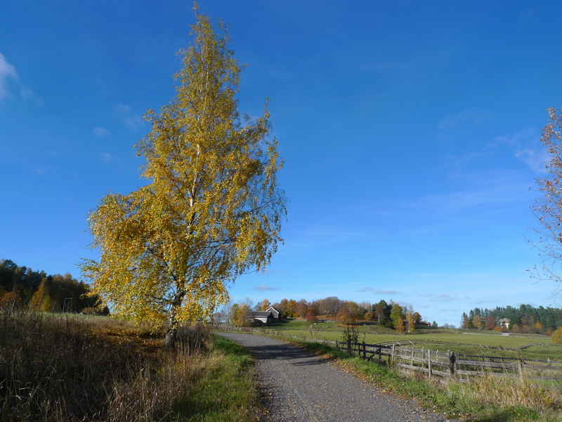 20131013