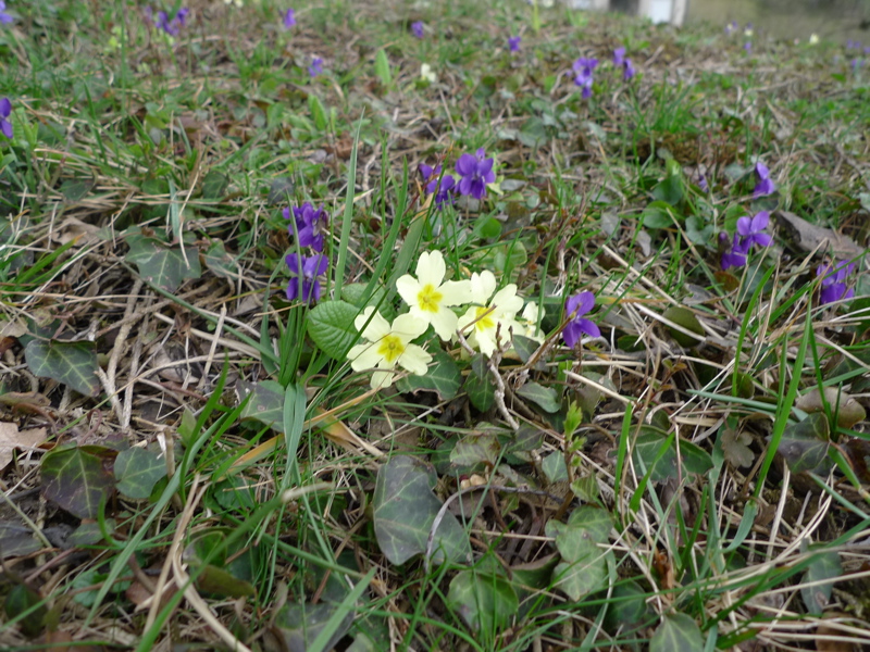 20140319