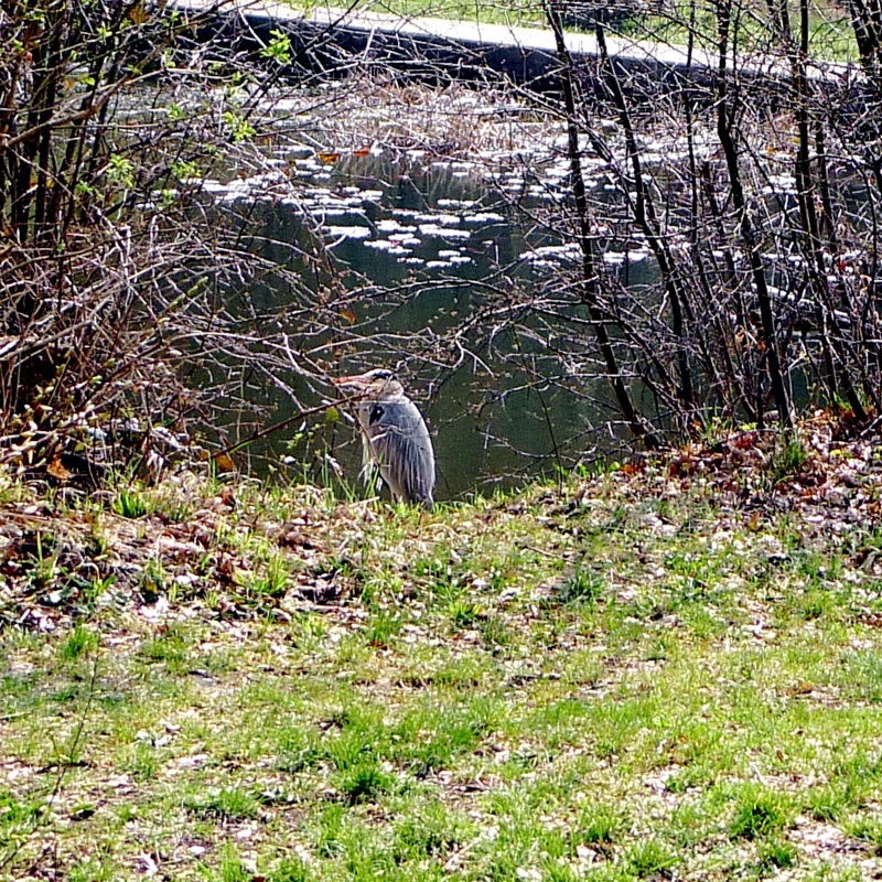 20140325