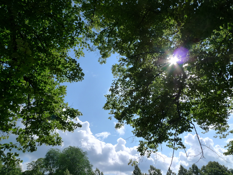 20140810