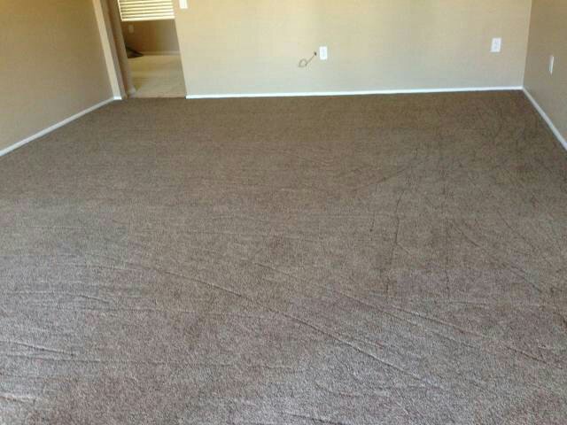 6.7.15_LR Carpet_1.jpg
