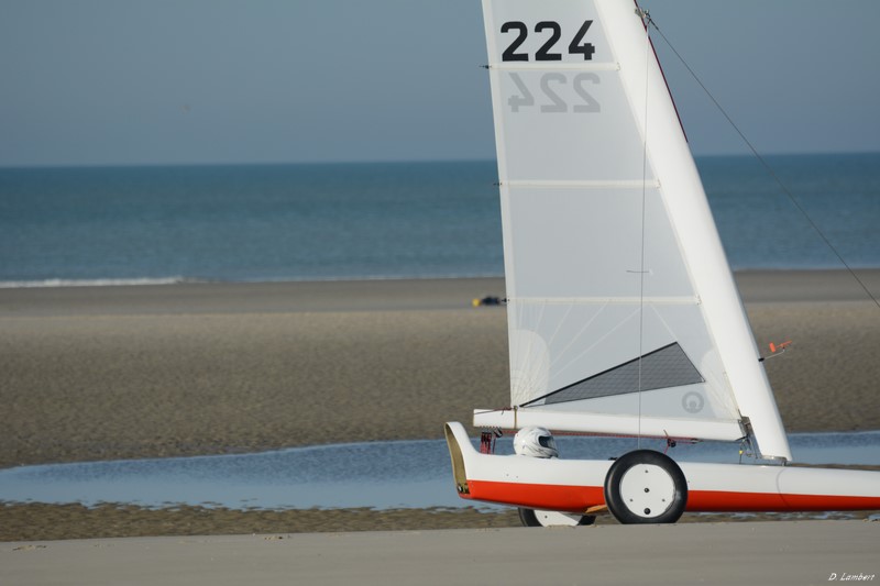 Europale D2-14_379 (800x600).JPG