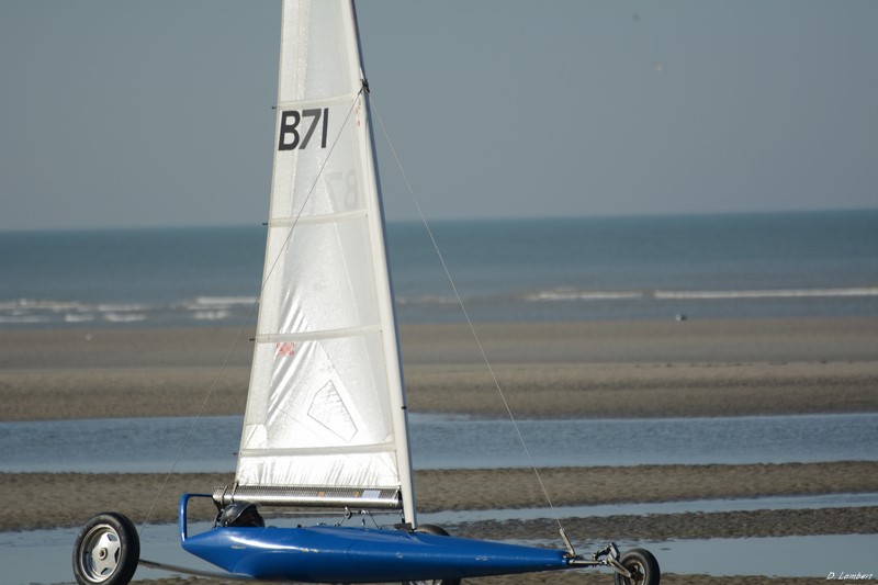 Europale D2-14_380 (800x600).JPG