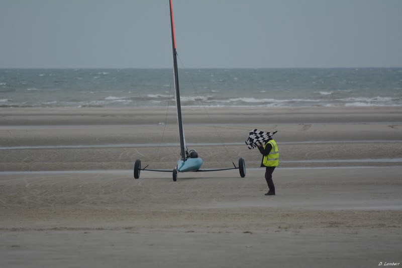 6h D7-15_200 (800x600).JPG