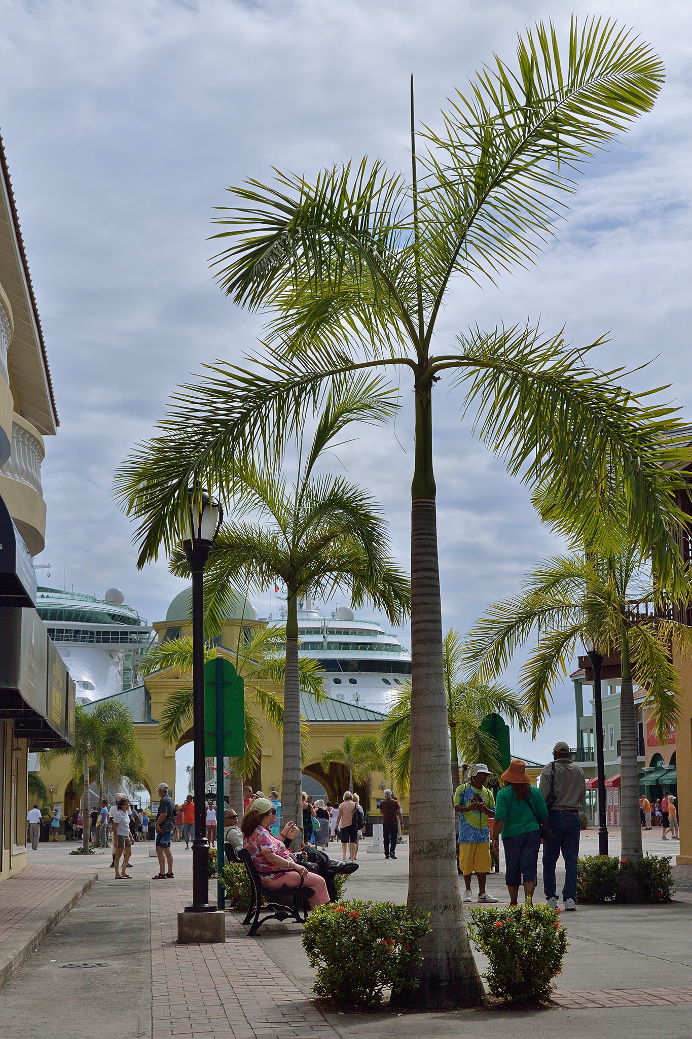 20131119 - St Kitts - 123.jpg
