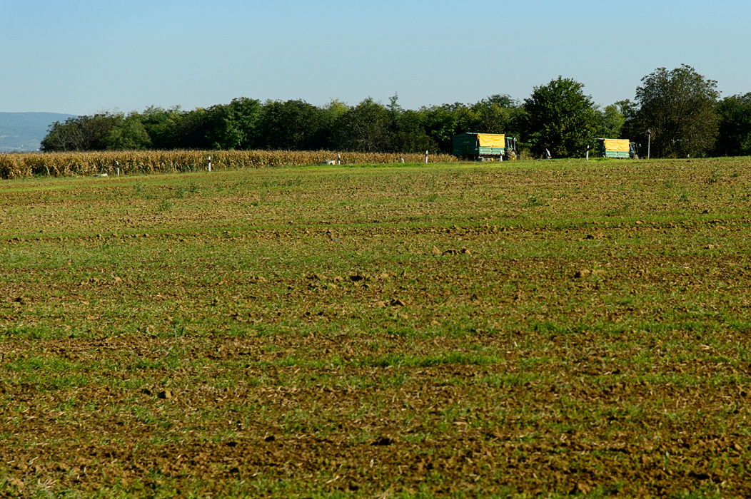 20140924 - Pecs - 0027.jpg
