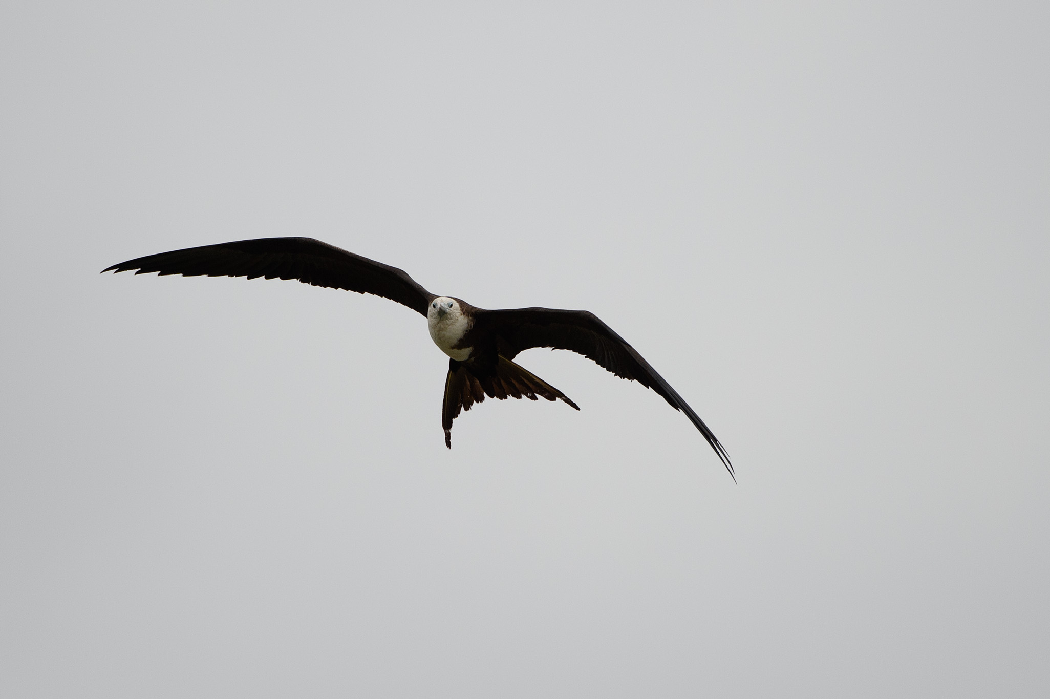 20160212 - Azamara Journey (Panama Cannel) - 595.jpg