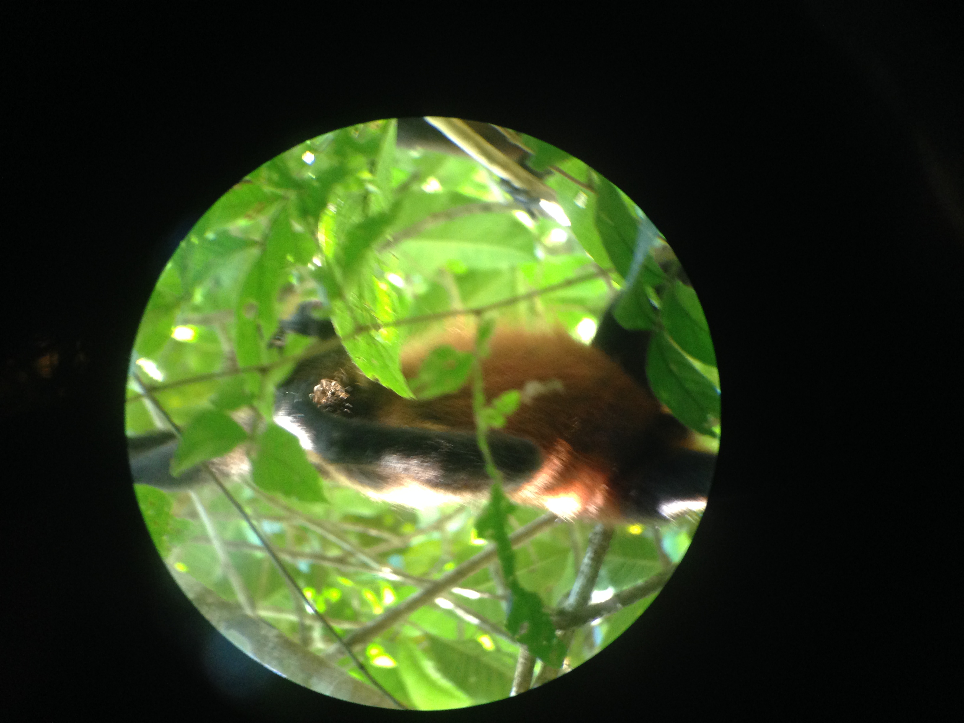 20160217 - Azamara Cruise & Costa Rica [Kathy] - 129.JPG