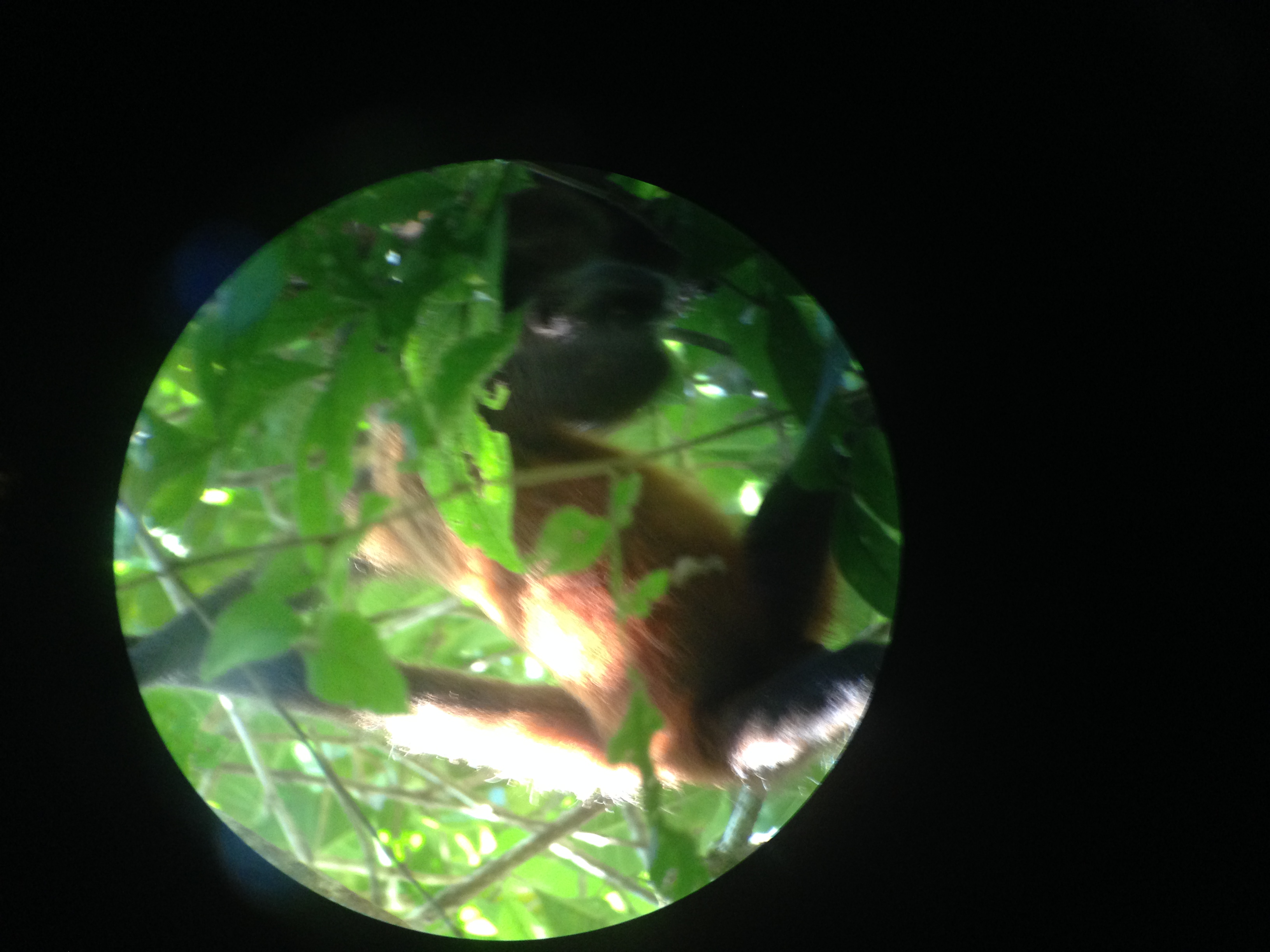 20160217 - Azamara Cruise & Costa Rica [Kathy] - 133.JPG