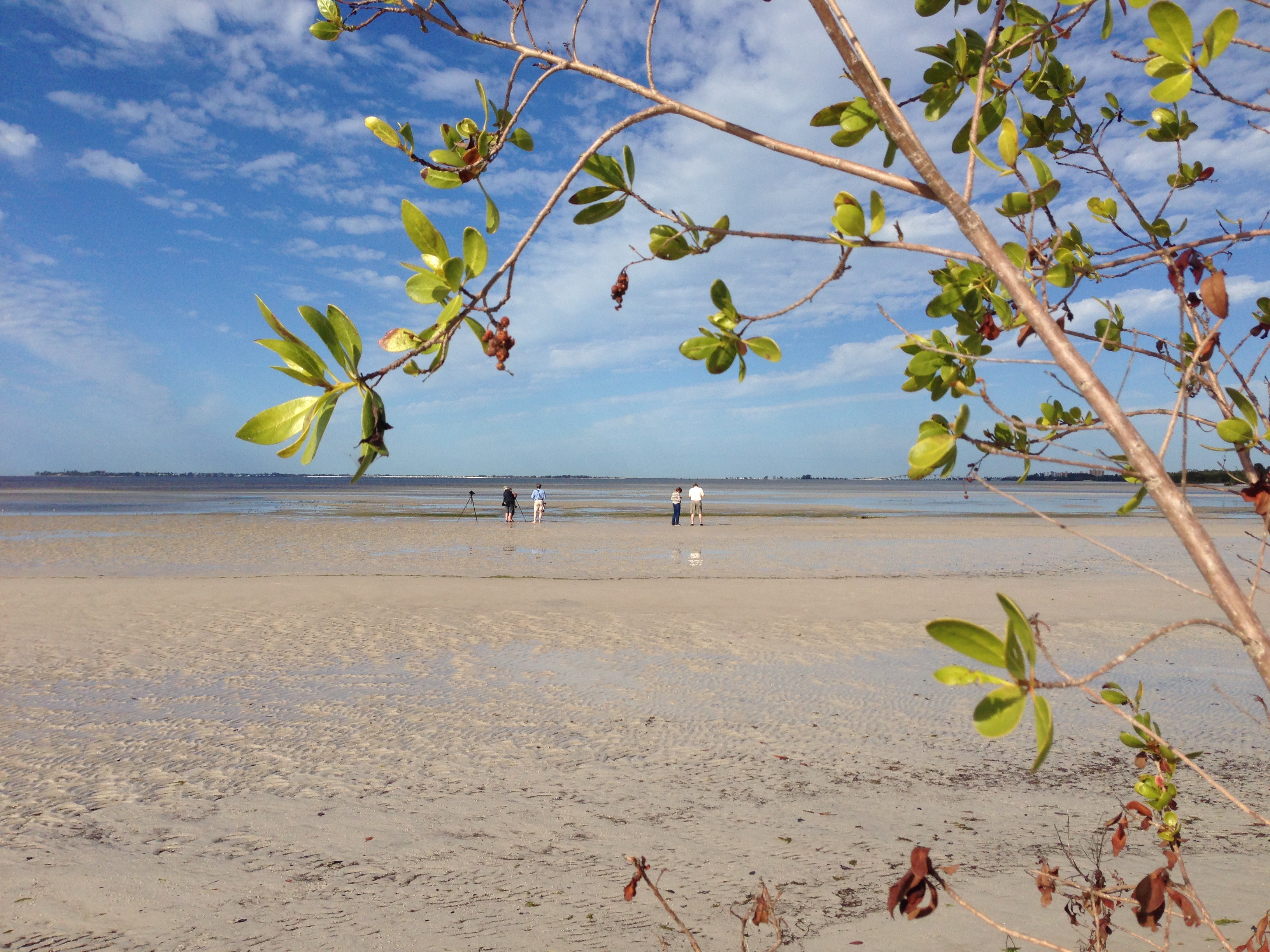 20160229 - Azamara Cruise & Costa Rica [Kathy] - 221.JPG