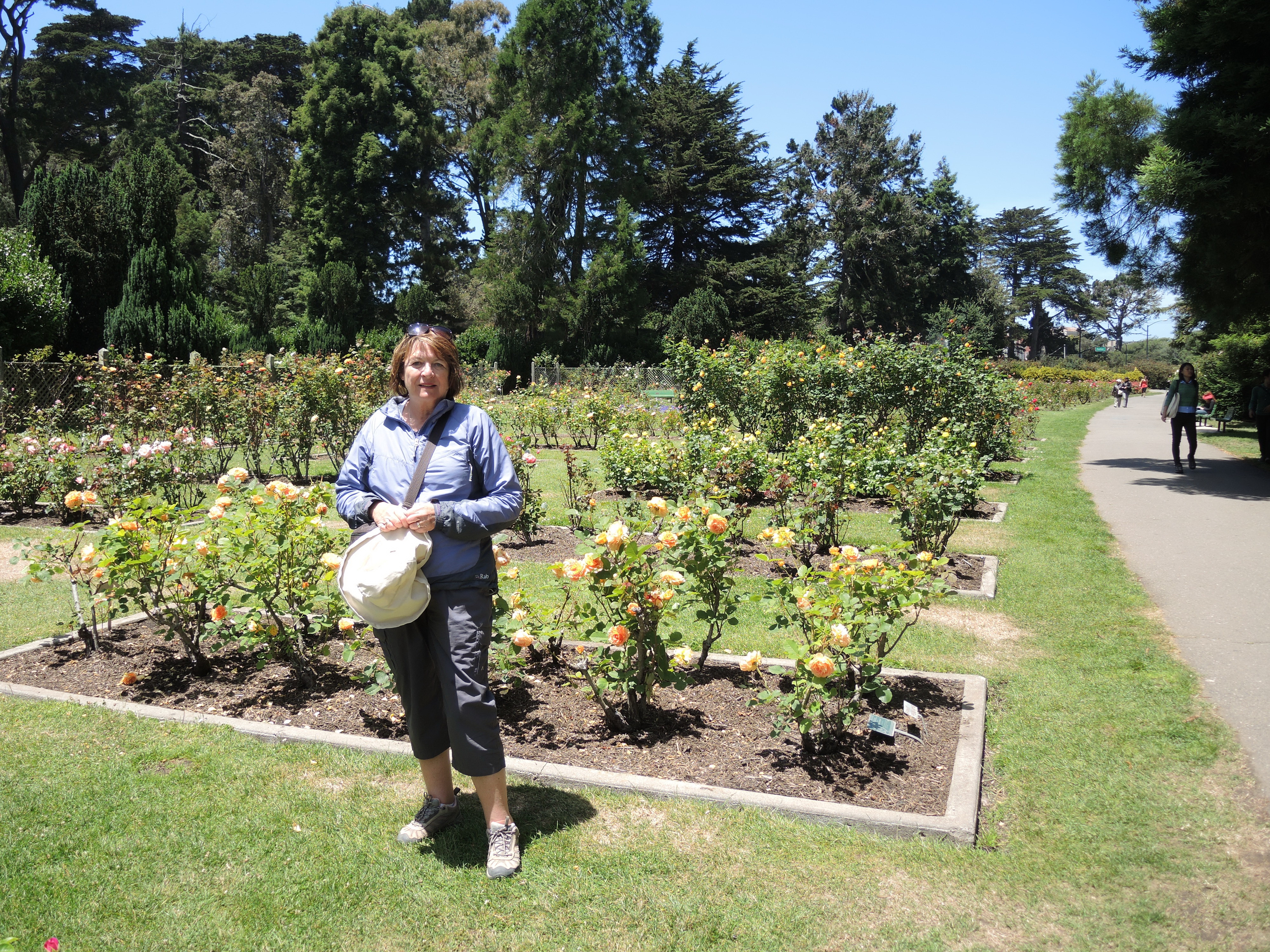 Golden Gate Park