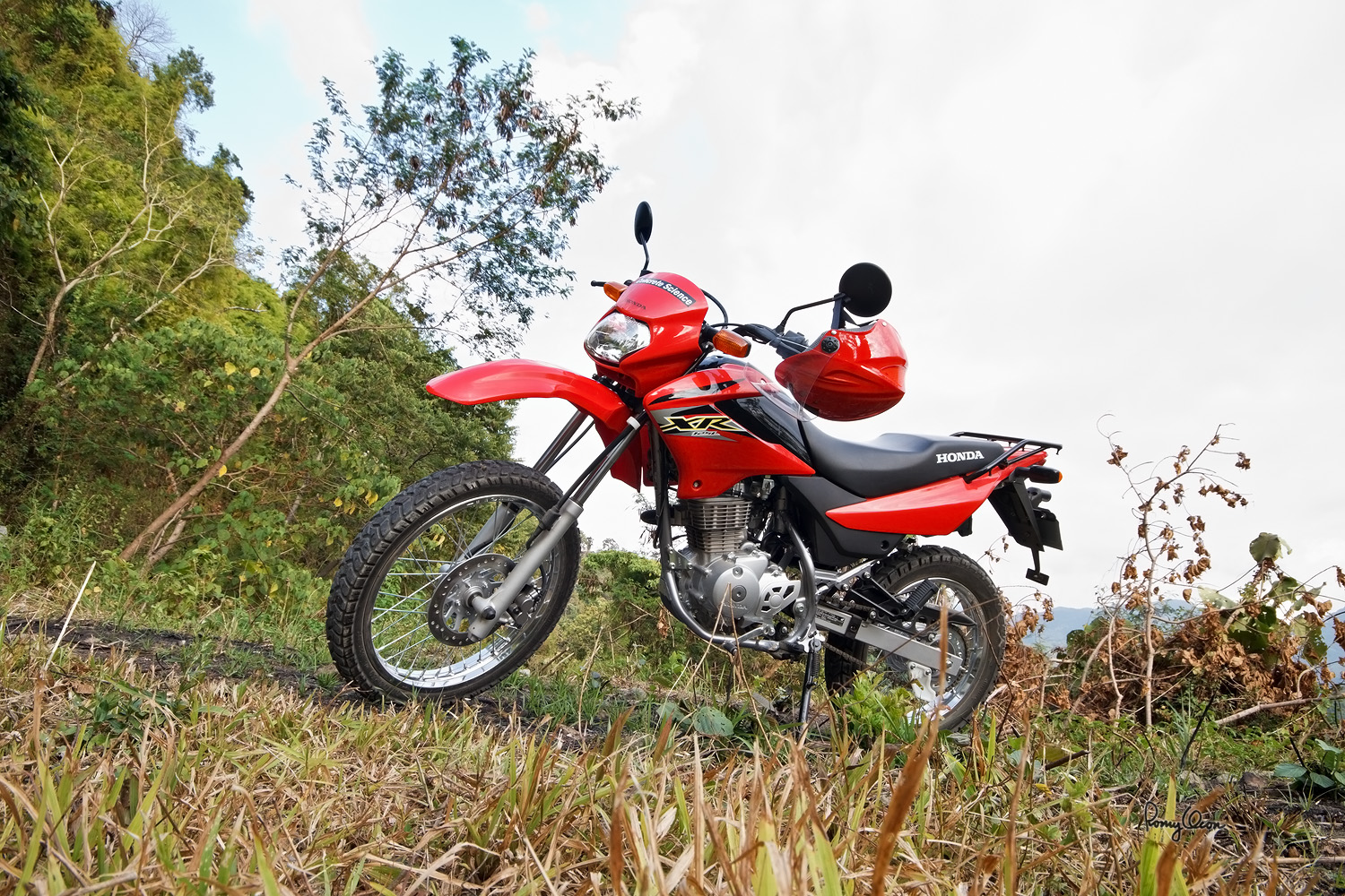 RMO75548-1500x1000.jpg